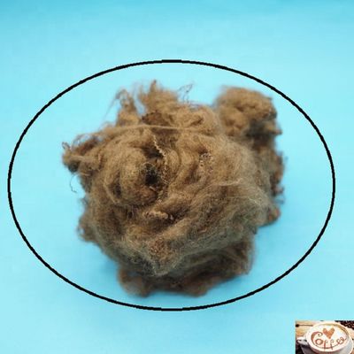 Virgin Grade Dope Dyed Polyester Coffee Color Untuk Pemintalan